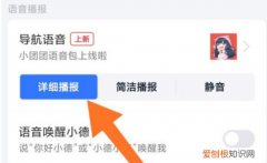 如何修改高德地图语音播报的声音