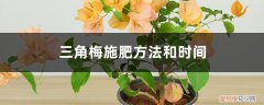 三角梅需要施什么肥 三角梅施肥方法和时间，施肥什么肥最好