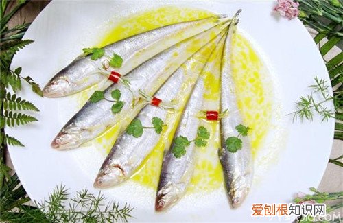 长江刀鱼的营养价值 吃对鱼可以消百病哦