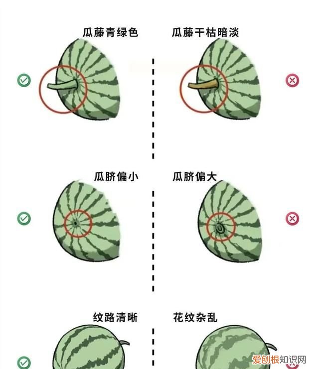 西瓜要怎么挑才是熟的
