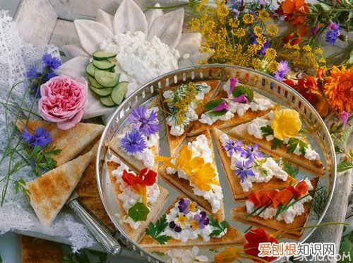 食用花卉有哪些 不同季节有不同的食用花卉