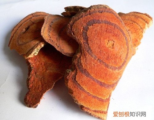 鸡血藤泡酒药方 鸡血藤有哪些副作用