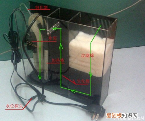 鱼缸过滤器安装鱼缸过滤器原理及清洗