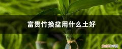 富贵竹什么时候可以换盆 富贵竹换盆用什么土好，换盆要注意季节吗