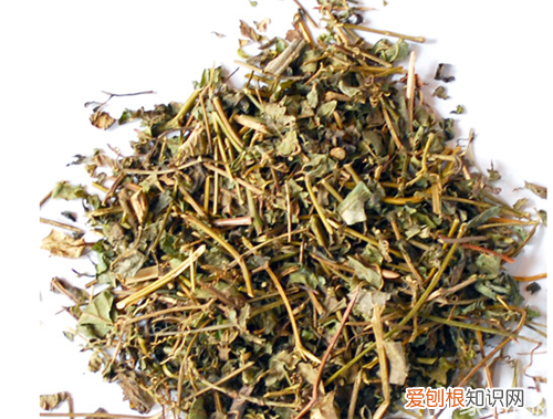 七叶胆的功效与作用 竟然还能延迟衰老