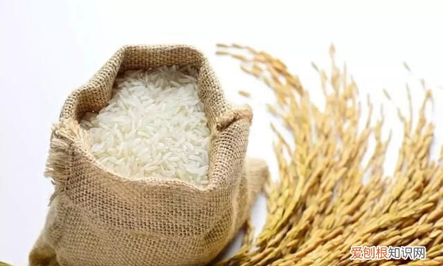 米饭是不是含糖量很高,都说白米饭含糖高究竟要不要吃