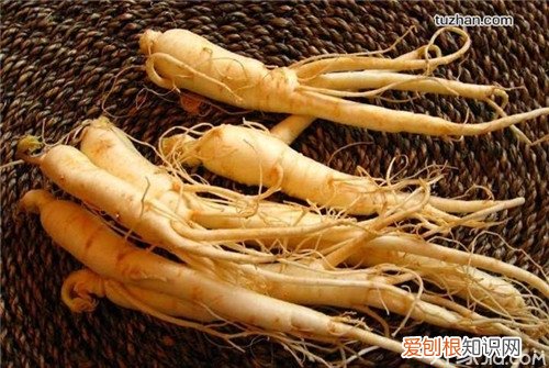 【百草之王】长白山人参怎么吃长白山人参的功效与作用