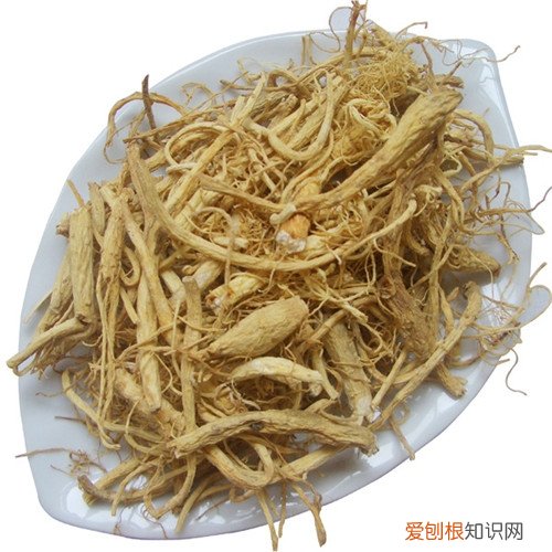 【涨知识】参须怎么吃参须的功效与作用