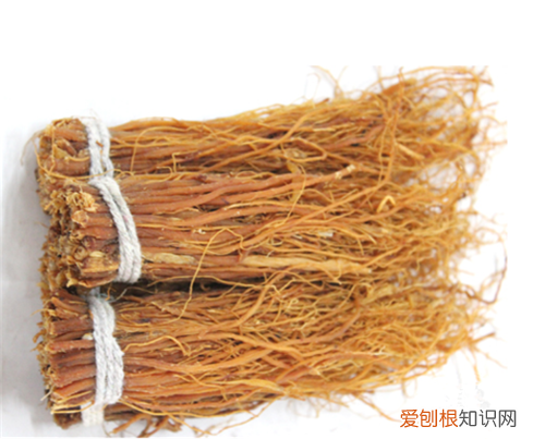 【涨知识】参须怎么吃参须的功效与作用
