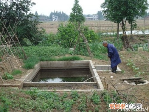 你需要这样的节能措施 家用沼气池怎样建立