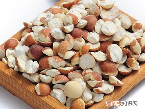 养身专家告诉你 芡实米怎么吃