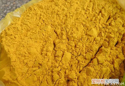 生蒲黄怎么煎生蒲黄的功效有哪些