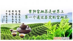 紫阳富硒茶的功效与作用 补硒找它不用愁