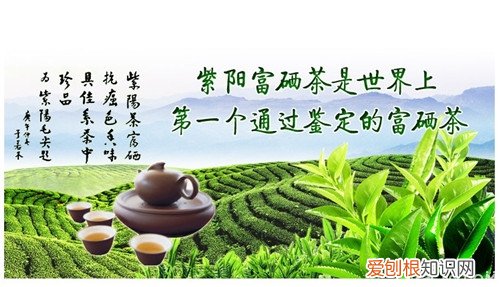 紫阳富硒茶的功效与作用 补硒找它不用愁