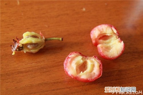 山楂核的功效与作用别再浪费啦