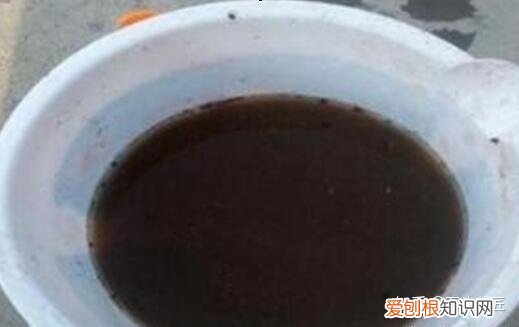 花盆里板结的土壤怎样改良肥料，养花土壤板结？石头教你3个“要绝”，2月后“松软”像发糕