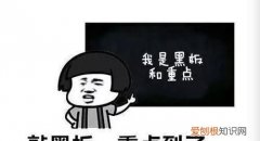用完的厕纸该冲掉还是扔进垃圾桶