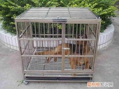 自己做狗笼怎么做比较方便 不花钱自制狗笼