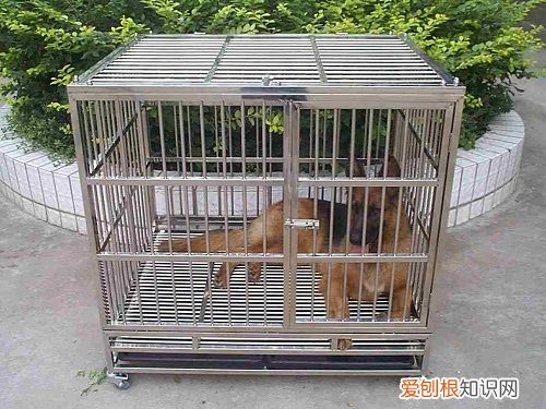 自己做狗笼怎么做比较方便 不花钱自制狗笼