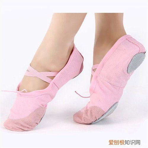 好货推荐 舞蹈鞋什么牌子好