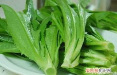 莴苣叶的营养价值莴苣叶怎么吃