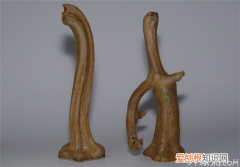 南瓜蒂怎么吃 小小南瓜蒂竟然还能保胎