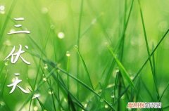 2023年初伏共多少天