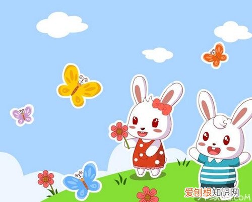 12生肖最好的性格 属兔的几月出生最好