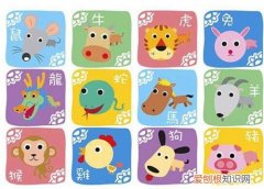 12生肖最好的性格 属兔的几月出生最好