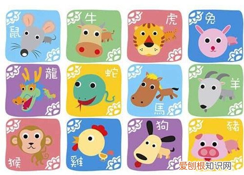 12生肖最好的性格 属兔的几月出生最好