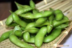 狗狗可以吃熟毛豆么吗 狗狗可以吃熟毛豆么
