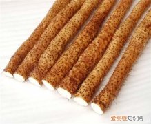 山药种子怎么种 适期播种很重要