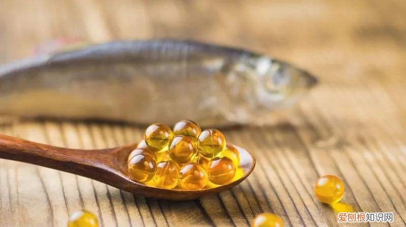 人类鱼油宠物可以吃吗 宠物可以吃人的鱼油吗
