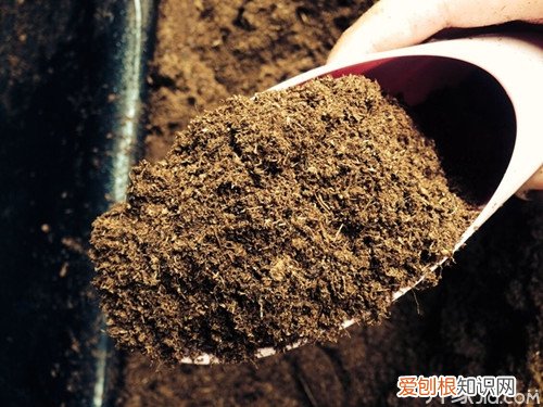 泥炭土是什么泥炭土的特性
