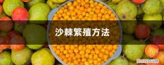 沙棘果的繁殖方法 沙棘繁殖方法，沙棘树怎样繁殖