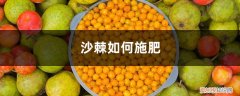 沙棘如何施肥,沙棘上什么肥料好 沙棘如何施肥，沙棘上什么肥