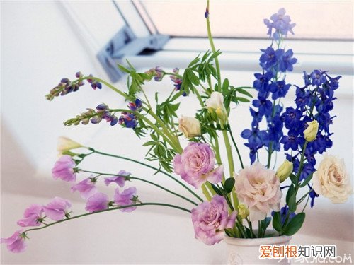 干花插花艺术干花插花图片欣赏