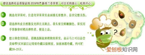 洋外衣猫腻多 教你识别新西兰奇异果真假