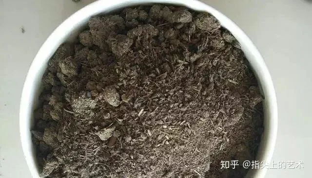 营养土可以直接放在花盆里吗,把“这些”丢花盆里养花,肥料都不用给了,土不板结,花儿蹭蹭长
