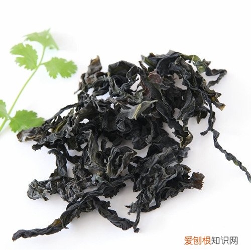 海木耳的营养价值 海木耳的功效与作用