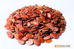 红瓜子的功效与作用红瓜子价格