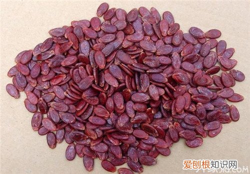 红瓜子的功效与作用红瓜子价格