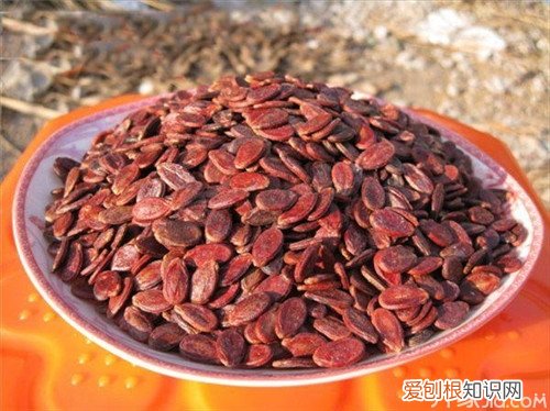 红瓜子的功效与作用红瓜子价格