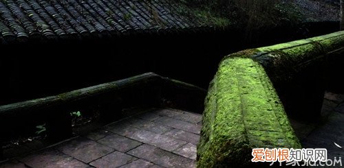 青苔是怎么形成的青苔的危害