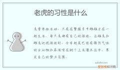 老虎的习性是什么