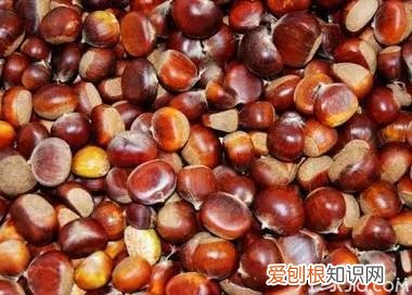 冷知识：垃圾袋30个不为人知的用处，垃圾袋的另类用途