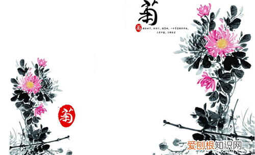 国画菊花寓意 菊花的含义你知道多少个