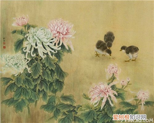 国画菊花寓意 菊花的含义你知道多少个