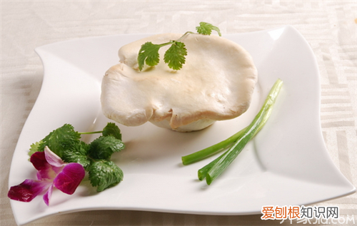 白灵菇图片欣赏 原来白灵菇这么多功效