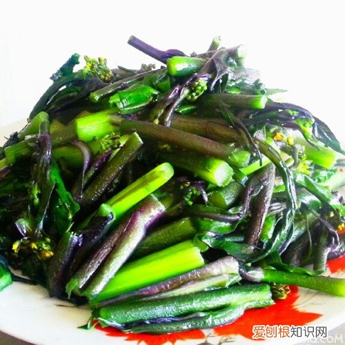 红菜苔的营养价值 红菜苔怎么吃